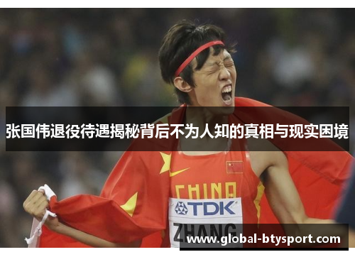 张国伟退役待遇揭秘背后不为人知的真相与现实困境 张国伟退役待遇揭秘背后不为人知的真相与现实困境
