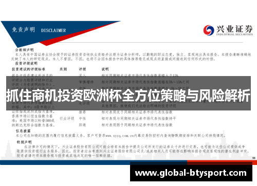 抓住商机投资欧洲杯全方位策略与风险解析