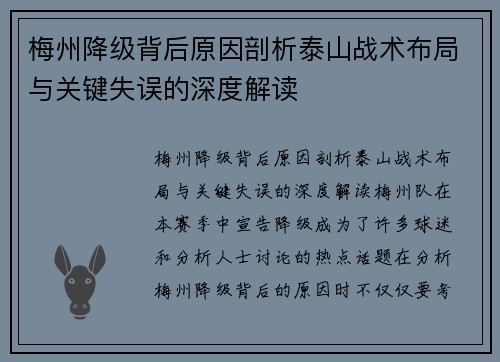 梅州降级背后原因剖析泰山战术布局与关键失误的深度解读