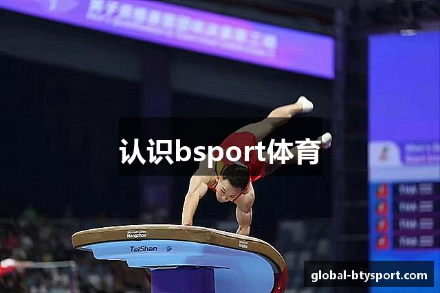 认识bsport体育